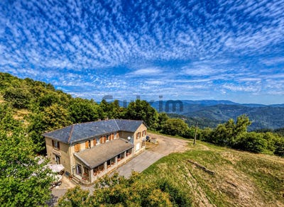 /international/fr/le-collet-de-deze-languedoc-roussillon-310096463135/