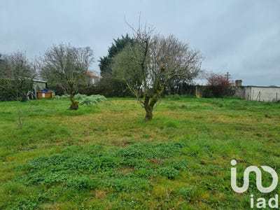 /international/fr/yzernay-pays-de-la-loire-310100990846/