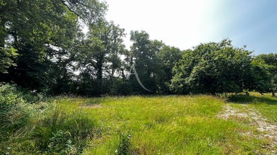 /international/fr/medis-charente-310104466872/