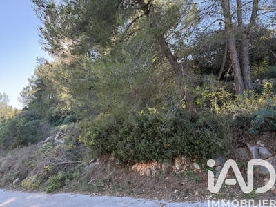 /international/fr/le-luc-provence-alpes-cote-d-azur-310103813361/