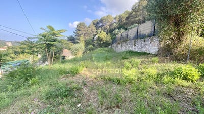 /international/fr/gorbio-provence-alpes-cote-d-azur-310109202331/