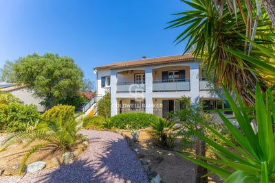 /international/fr/monticello-corsica-310108996106/