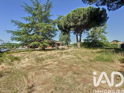 /international/fr/rieumes-midi-pyrenees-310106935675/