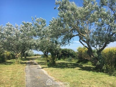 /international/fr/groix-brittany-310099625412/
