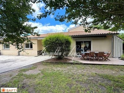 /international/fr/toulenne-aquitaine-310108811807/