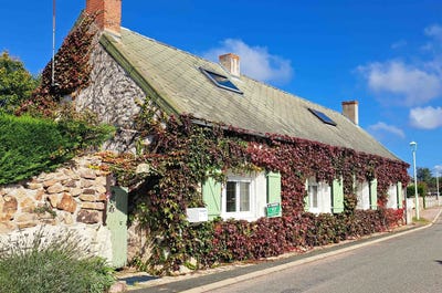 /international/fr/curdin-burgundy-310103043207/