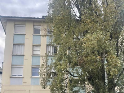 /international/fr/epinal-lorraine-310097271737/