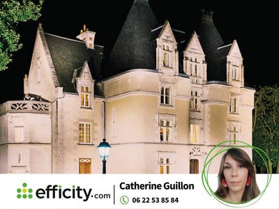 /international/fr/poitiers-charente-310104531676/