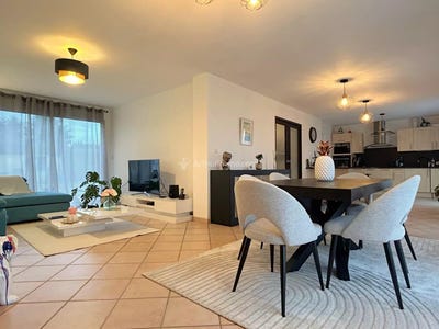 /international/fr/albi-midi-pyrenees-310110377868/