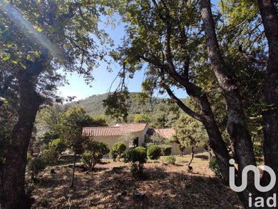 /international/fr/saint-jean-du-pin-languedoc-roussillon-310103610098/