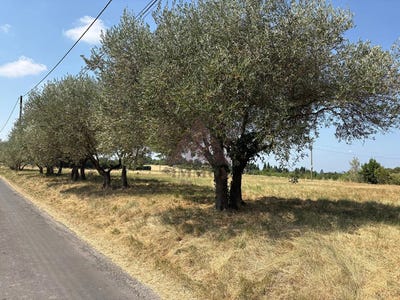 /international/fr/saint-hilaire-de-brethmas-languedoc-roussillon-310109532151/