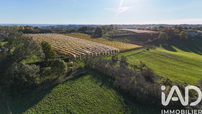 /international/fr/moissac-midi-pyrenees-310105890303/