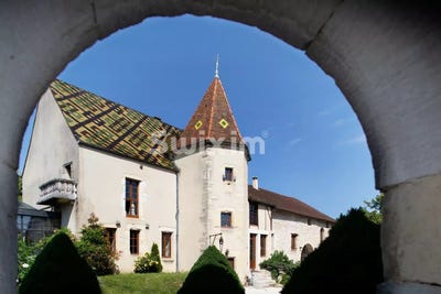 /international/fr/dijon-burgundy-310105103993/