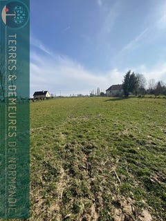 /international/fr/moyaux-la-basse-normandie-310102537651/