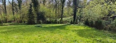 /international/fr/bouquehault-calais-310107426278/