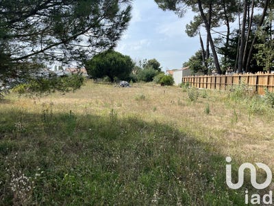 /international/fr/saint-hilaire-de-riez-pays-de-la-loire-310103150985/