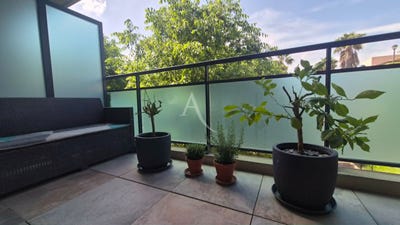 /international/fr/gigean-languedoc-roussillon-310107737253/