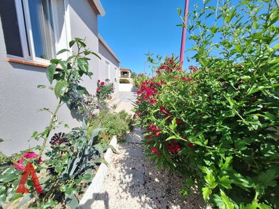/international/fr/brouilla-languedoc-roussillon-310105342801/