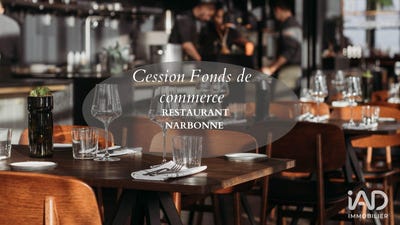 /international/fr/narbonne-languedoc-roussillon-310104004106/