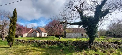 /international/fr/saillac-limousin-310107579379/