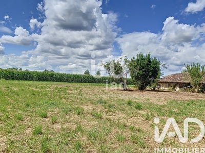 /international/fr/negrepelisse-midi-pyrenees-310101155870/