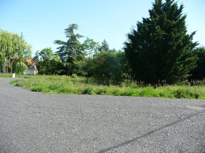 /international/fr/savigneux-pays-de-la-loire-310099617471/