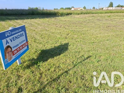 /international/fr/maille-centre-val-de-loire-310108242141/