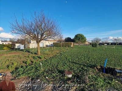 /international/fr/surgeres-charente-120097023909/