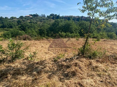 /international/fr/saint-paul-le-jeune-rhone-310101486383/