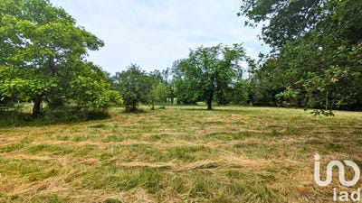 /international/fr/montendre-charente-310099781455/