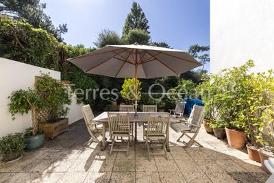 /international/fr/soorts-hossegor-aquitaine-310098445039/
