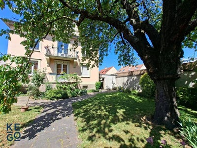 /international/fr/schiltigheim-alsace-310108406175/