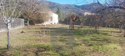 /international/fr/sospel-provence-alpes-cote-d-azur-310109534618/