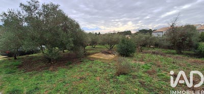 /international/fr/aubais-languedoc-roussillon-310106047132/