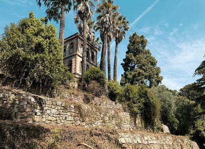 /international/fr/vallauris-provence-alpes-cote-d-azur-310100578248/