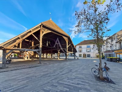 /international/fr/arpajon-ile-de-france-310107491835/