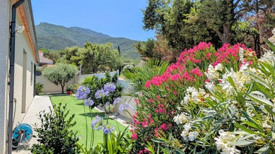 /international/fr/laroque-des-alberes-languedoc-roussillon-310101087088/?lang=it