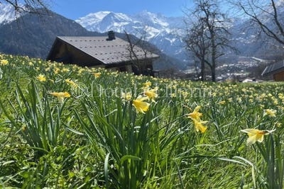 /international/fr/servoz-rhone-310107300652/