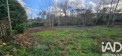 /international/fr/tregastel-brittany-310104985375/