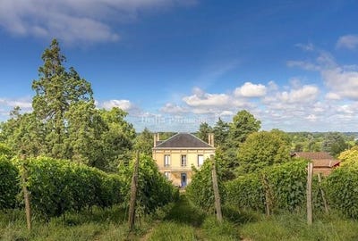 /international/fr/lestiac-sur-garonne-aquitaine-310104039575/