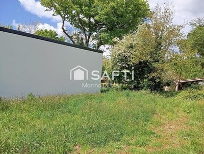 /international/fr/martinet-pays-de-la-loire-310098879341/