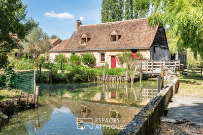 /international/fr/savigne-sous-le-lude-pays-de-la-loire-310110139817/