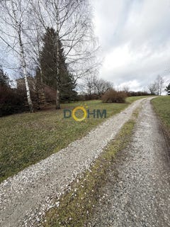 /international/fr/saint-pal-de-mons-auvergne-310105749351/