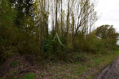 /international/fr/saint-ouen-en-brie-ile-de-france-310107008684/