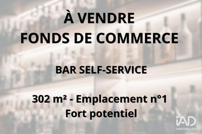/international/fr/claye-souilly-ile-de-france-310106935939/