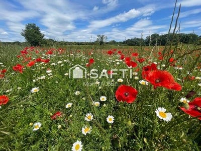/international/fr/la-bruguiere-languedoc-roussillon-310108246846/