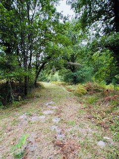 /international/fr/selles-sur-cher-centre-val-de-loire-310104462990/