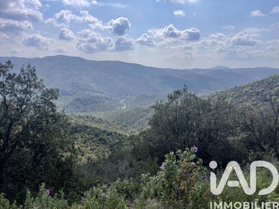 /international/fr/vidauban-provence-alpes-cote-d-azur-310107966803/