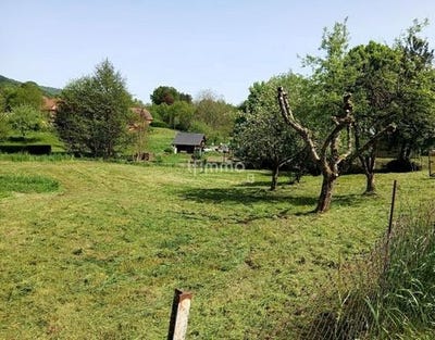 /international/fr/masevaux-alsace-310107473327/