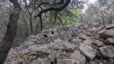 /international/fr/carces-provence-alpes-cote-d-azur-120094867121/